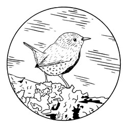 Similar image 21356480