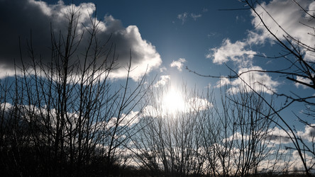 Similar image 21359286