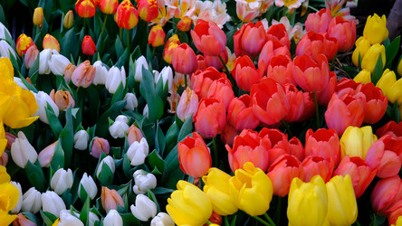 Similar image 21358097