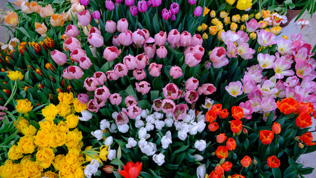 Similar image 21358098