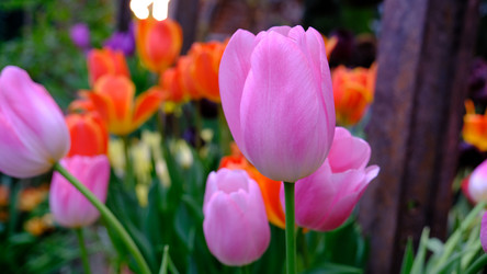 Similar image 21358099