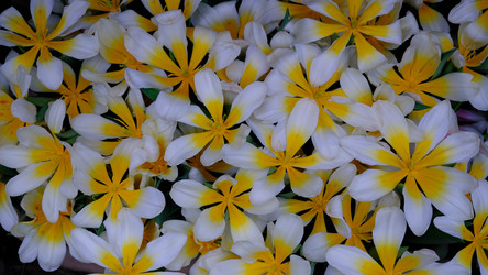 Similar image 21359288