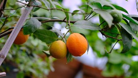 Similar image 21359289