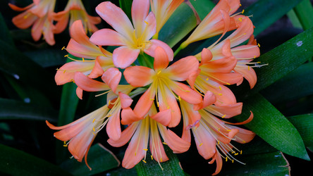 Similar image 21359290