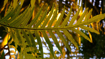 Similar image 21359291