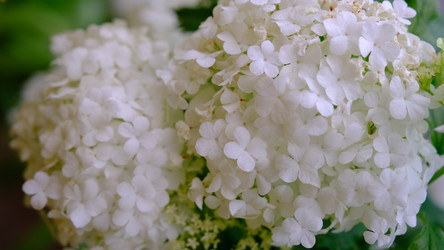 Similar image 21359293