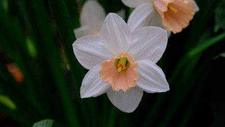 Similar image 21358100