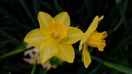 Similar image 21358101