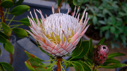 Similar image 21359295