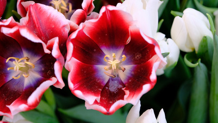 Similar image 21358102