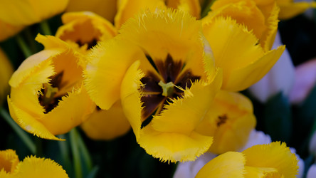 Similar image 21358104