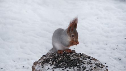 Similar image 21359297