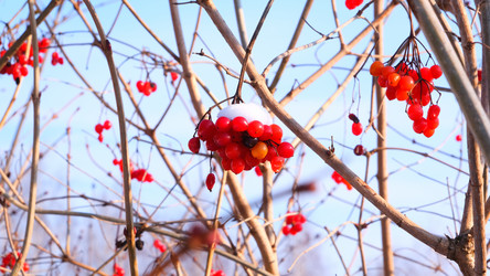 Similar image 21359299