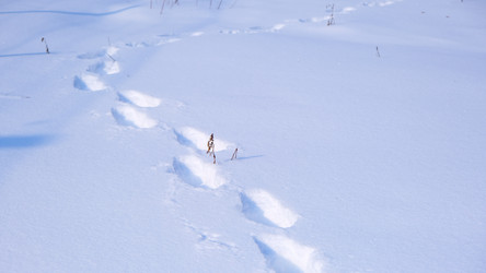 Similar image 21359300