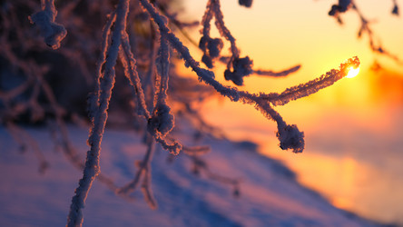 Similar image 21358108