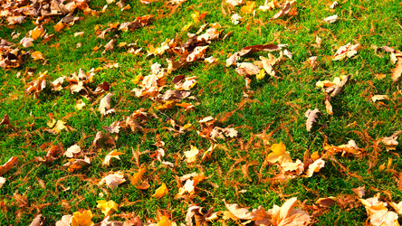 Similar image 21359302