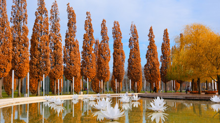 Similar image 21358109