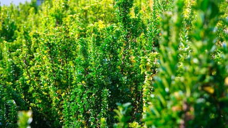 Similar image 21358112