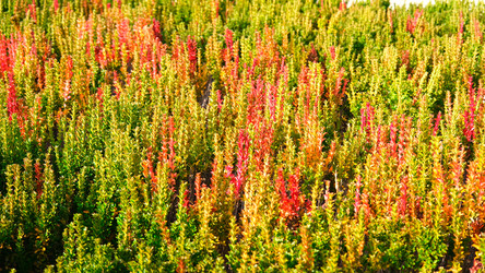 Similar image 21358113