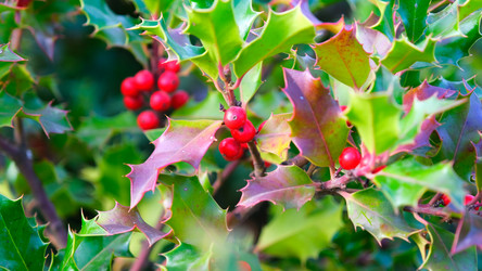 Similar image 21358253