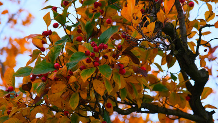 Similar image 21358119