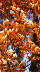 Similar image 21358121