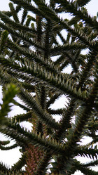 Similar image 21358254