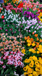 Similar image 21358123