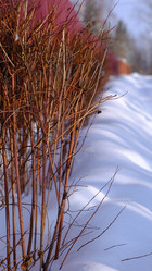 Similar image 21358127