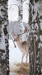 Similar image 21358128