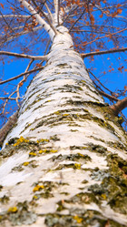 Similar image 21358132