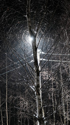 Similar image 21356355