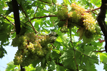 Similar image 21357821