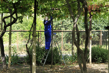 Similar image 21361013