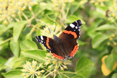 Similar image 21357823