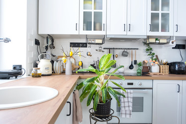 Similar image 21370367