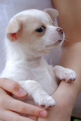 Similar image 21356361