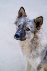 Similar image 21356362