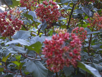 Similar image 21356420