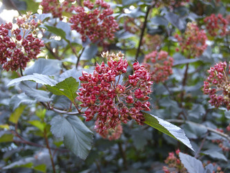 Similar image 21356421