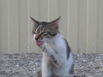 Similar image 21356364