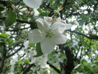 Similar image 21356365