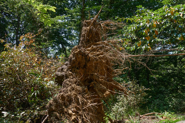 Similar image 21357829