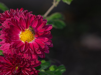 Similar image 21357445