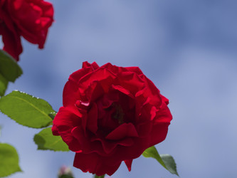 Similar image 21357453