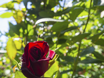 Similar image 21357455