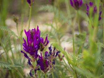 Similar image 21357456