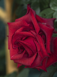 Similar image 21357458