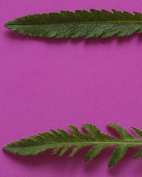 Similar image 21357461