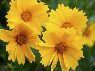 Similar image 21357464